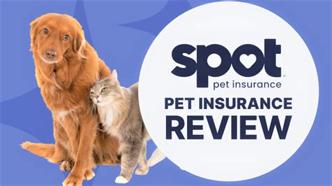 pet insurance age restrictions.